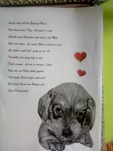 Gedicht Dornröschen